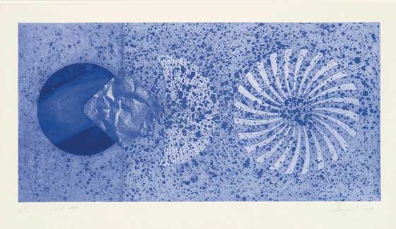 The Book Disappears for the Fast Student by James Rosenquist