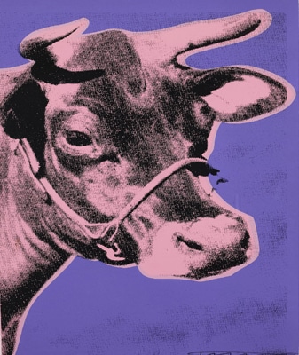 Cow (F. & S. II.12A)